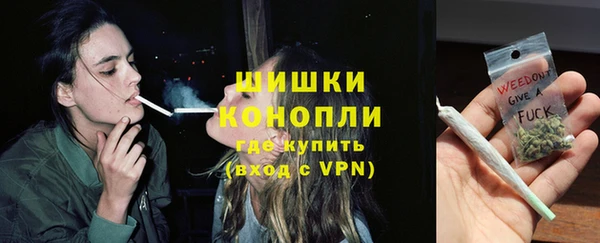 сатива Белокуриха