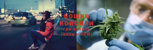эйфоретик Богданович