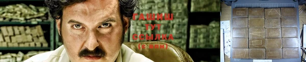 эйфоретик Богданович