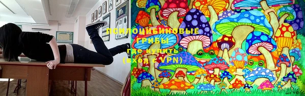 трава Балахна