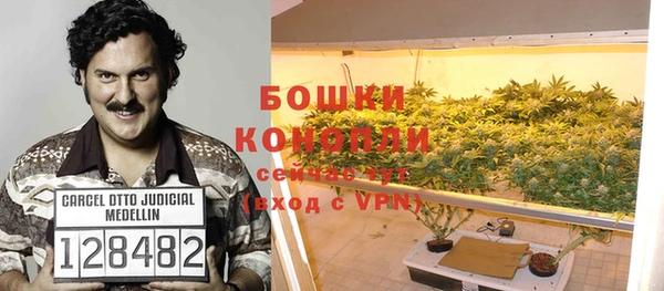 сатива Белокуриха