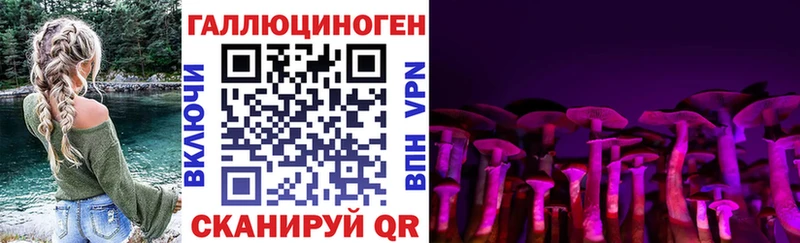 цены   Будённовск  Галлюциногенные грибы Cubensis 